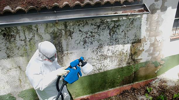 Top rated local Mold Inspection And Testing specialists in Newport, TN